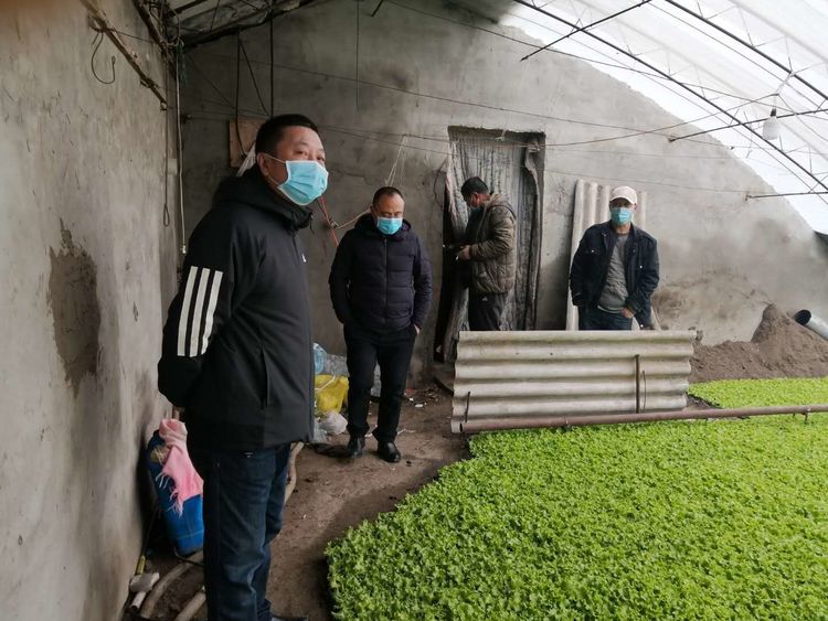 吉林農業科技學院在哪_吉林農業科技學院百科_吉林科技農業學院官網