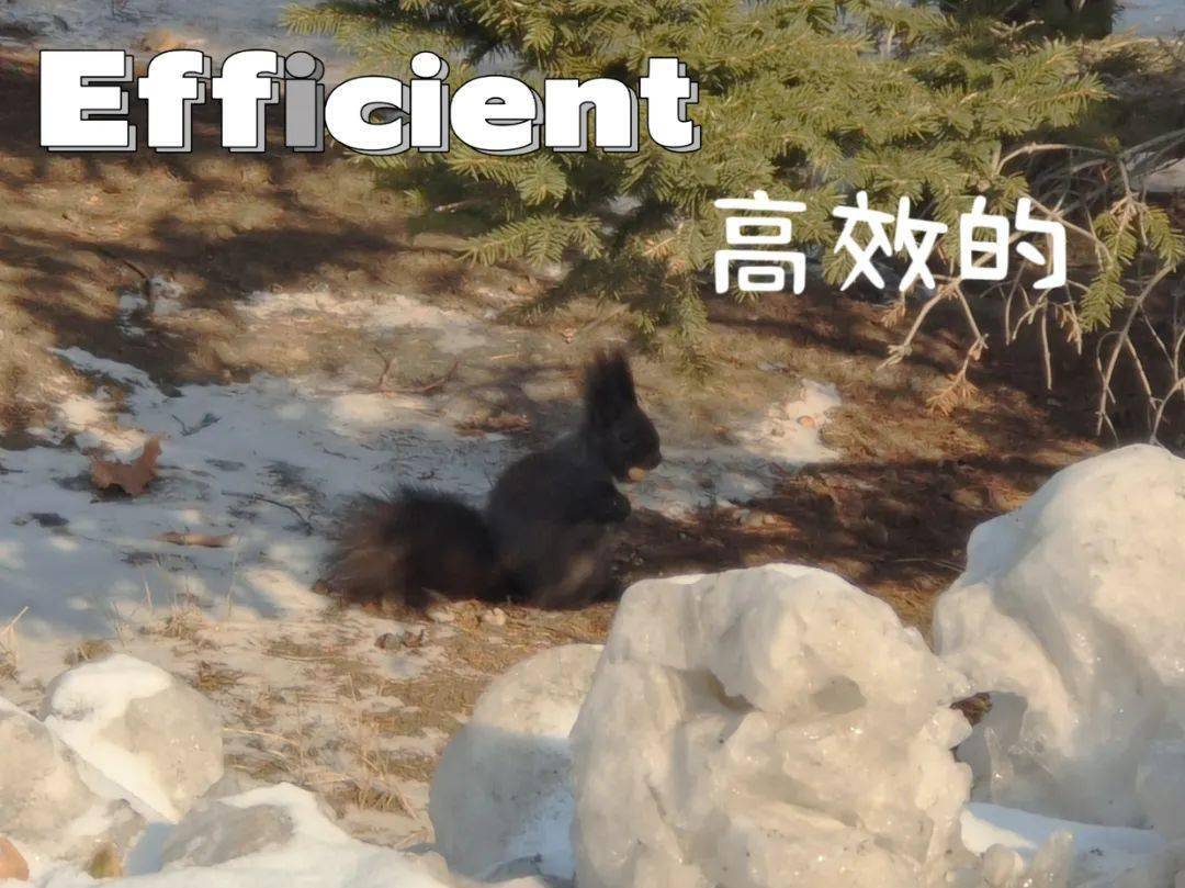 在哪打印六級成績單__六級電子成績報告單