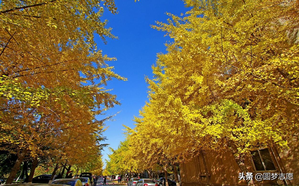 二本大學排行榜_二本大學排名前十_二本大學前十名