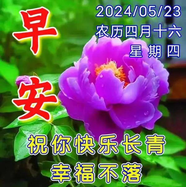 元旦黑板報圖片大全簡單又漂亮_元旦黑板報圖片簡單又漂亮_元旦黑板報圖片