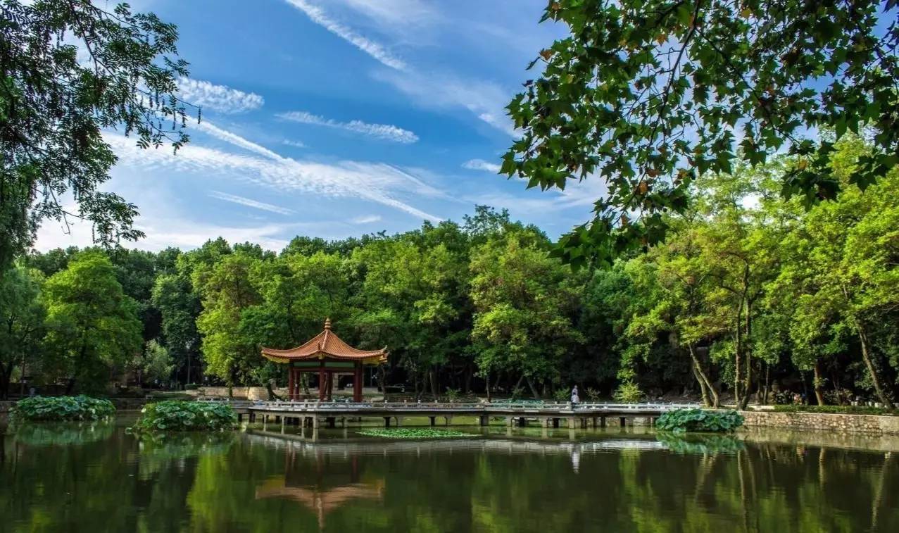寧波大學教務處_寧波大學教務處在哪_寧波教育學院教務系統