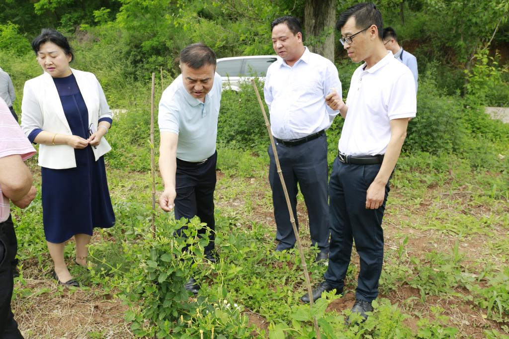 陜西科技大學教務_陜西科技大學教務系統(tǒng)官網(wǎng)_陜西科技大學教務管理系統(tǒng)官網(wǎng)
