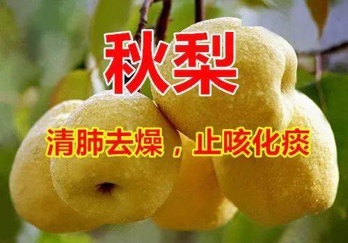 立冬祝福語簡短10字_立冬祝福浯_立冬祝福語 簡短獨特