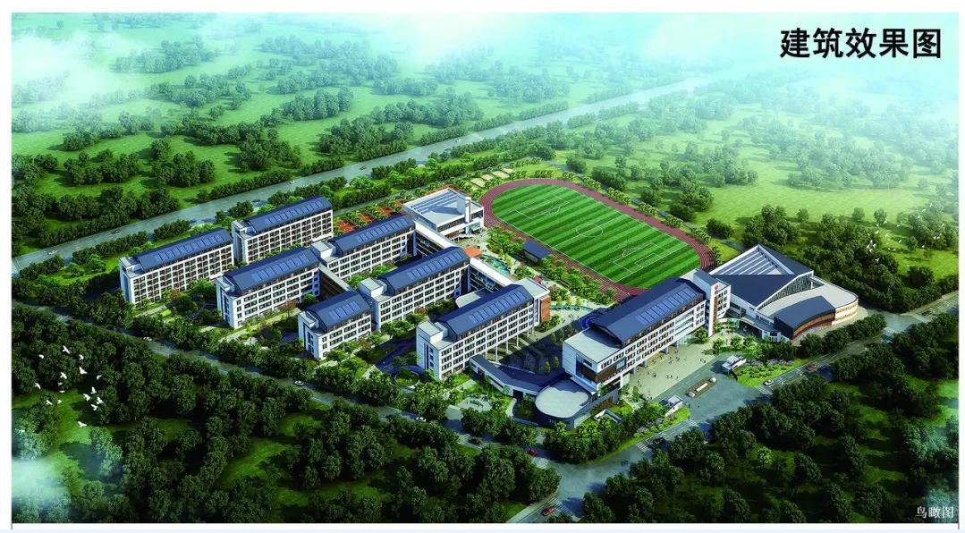 泰安市中祥教育科技有限公司_泰安市十九中_泰安市中心醫院