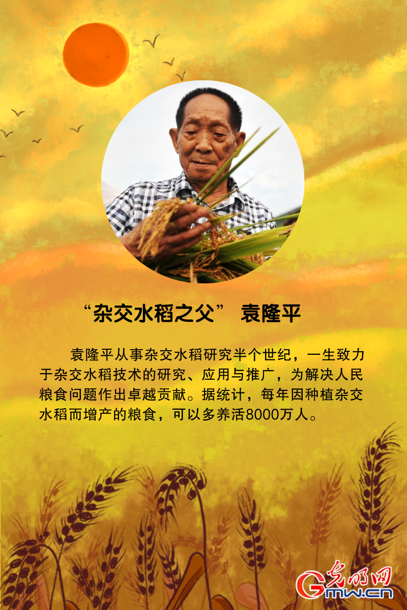 英雄袁隆平英語作文_寫袁隆平英語作文帶翻譯_