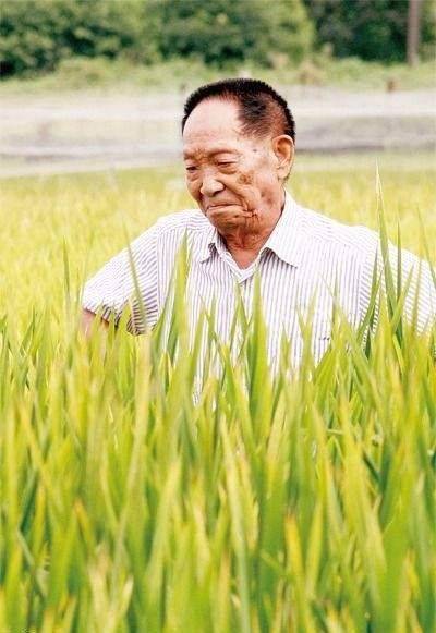 _寫袁隆平英語作文帶翻譯_英雄袁隆平英語作文