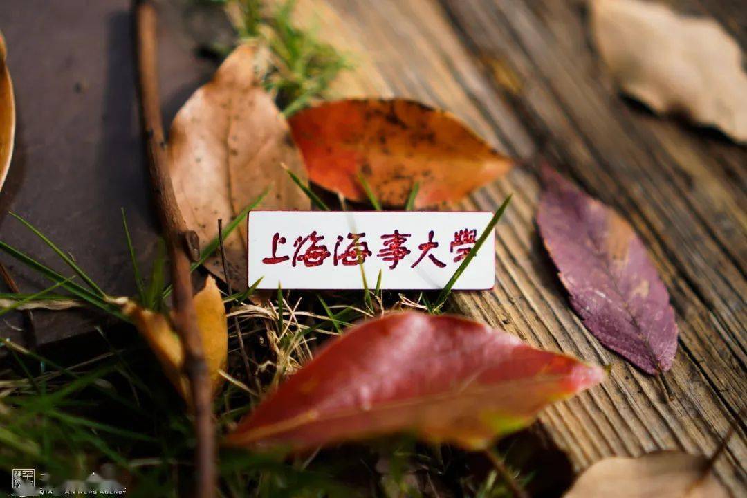 上海海事大學最低錄取分數(shù)線_2023年上海海事大學研究生院錄取分數(shù)線_上海海事入取分數(shù)線