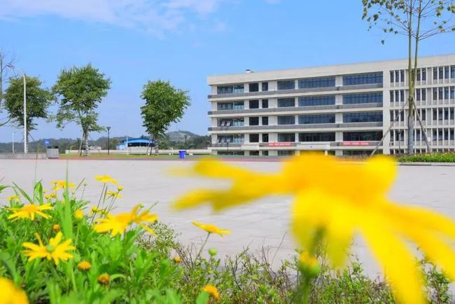 天府新區職業信息技術學院_天府新區信息職業官網_天府新區信息職業學院