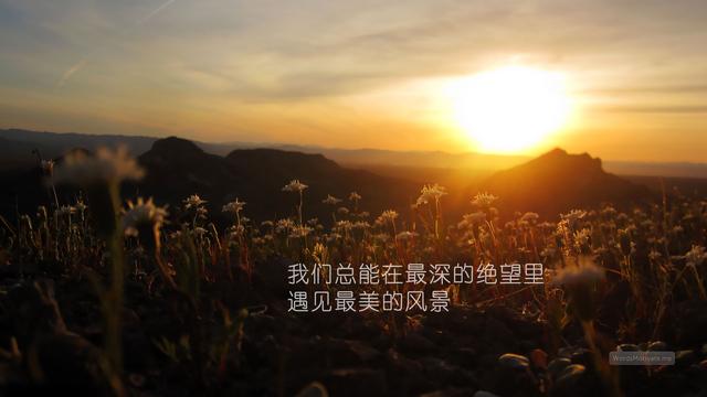 高中生職業技術學校_職業高中學_甬江職業高中
