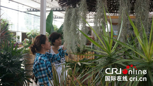 木材科學與工程_木材科學工程專業就業方向_木材科學工程就業前景