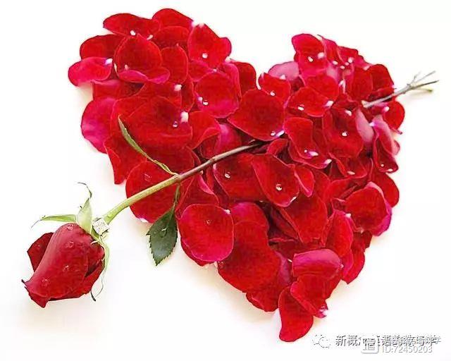 過去將來時時間狀語標(biāo)志詞_過去將來時態(tài)的時間狀語_