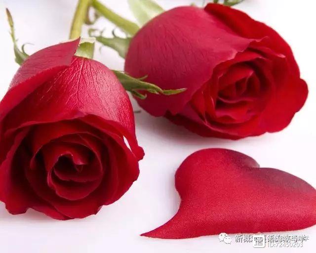 過去將來時時間狀語標(biāo)志詞_過去將來時態(tài)的時間狀語_