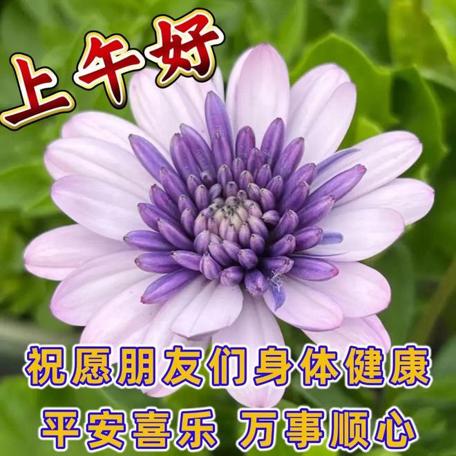 微信名無感是什么意思_微信名無期什么意思_2024獨一無二的微信名