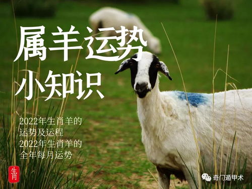 云南經濟管理學院教務_云南經管教務管理系統新_云南經濟管理學院教務系統(新)登錄