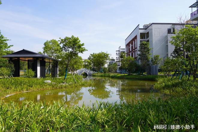 廣州私立高中學校排名_廣東廣州私立高中_高中私立排名廣州學校有哪些