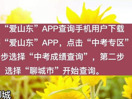 中考查詢成績?nèi)肟?021山東_中考查詢山東成績網(wǎng)站入口_山東中考成績查詢
