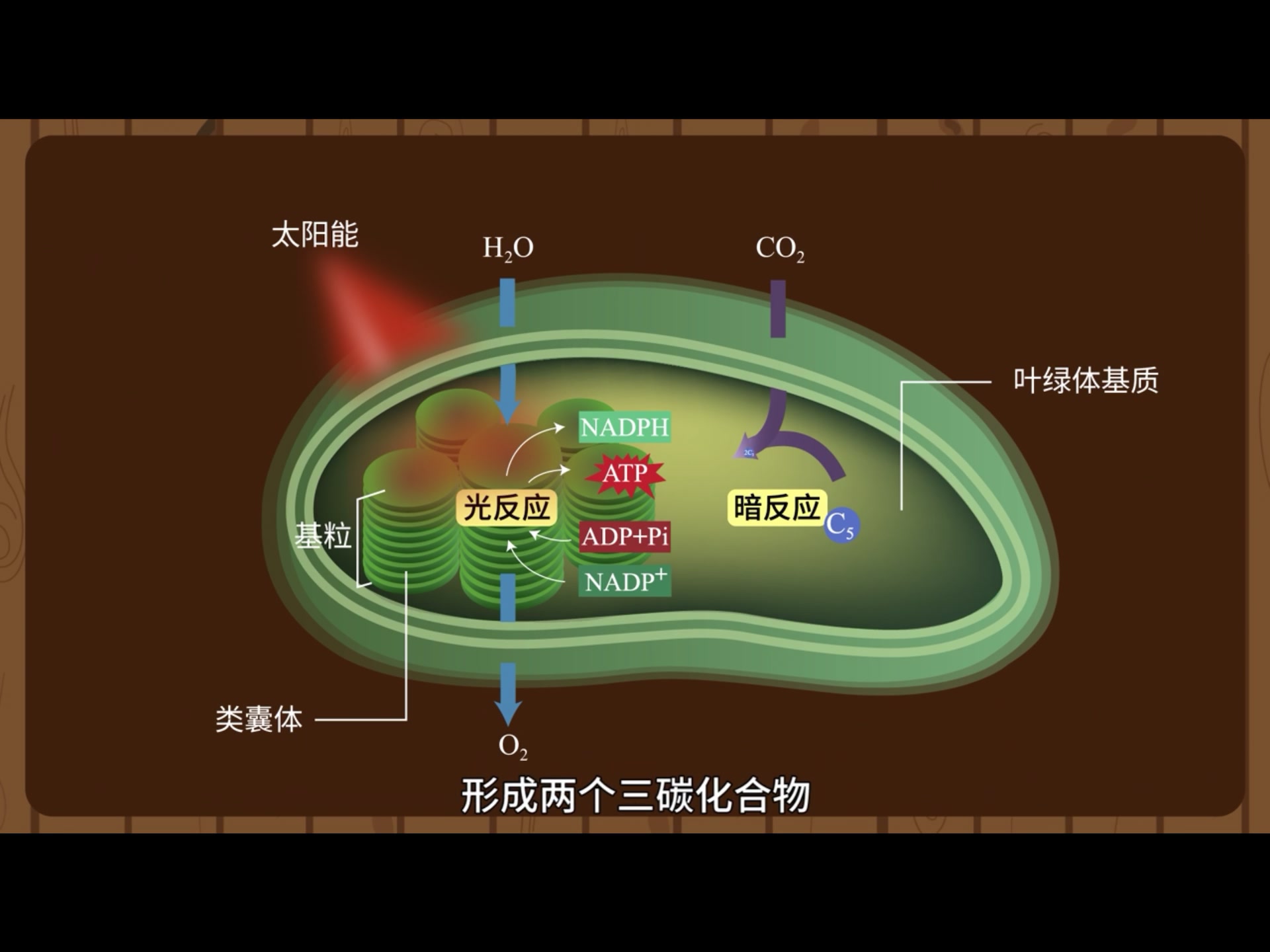 _百科的英語是什么_百科詞典英語怎么說