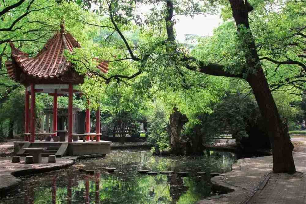 長沙理工大學網(wǎng)絡服務中心_長沙理工大學網(wǎng)絡信息中心_長沙理工大學網(wǎng)絡中心
