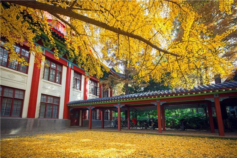 無錫南洋學(xué)校_無錫南洋學(xué)校要軍訓(xùn)嗎_無錫南洋學(xué)校全景宿舍