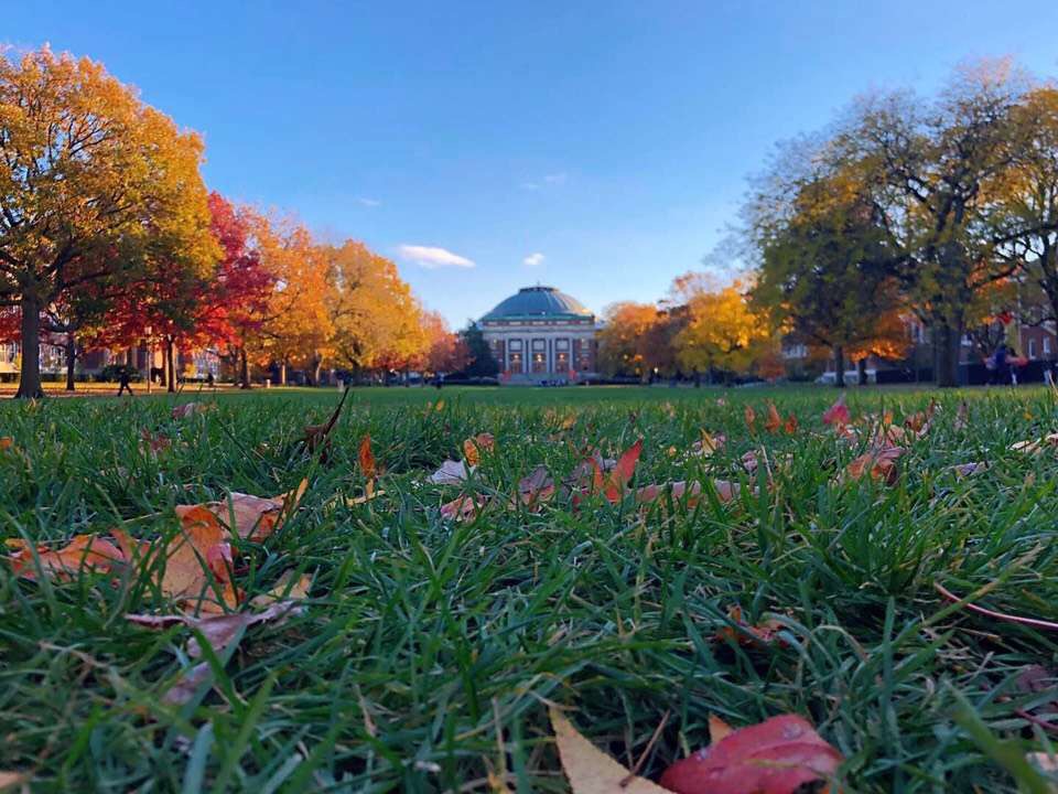 紐約州立大學賓漢姆頓分校_紐約州立大學石溪分校_紐約州立大學