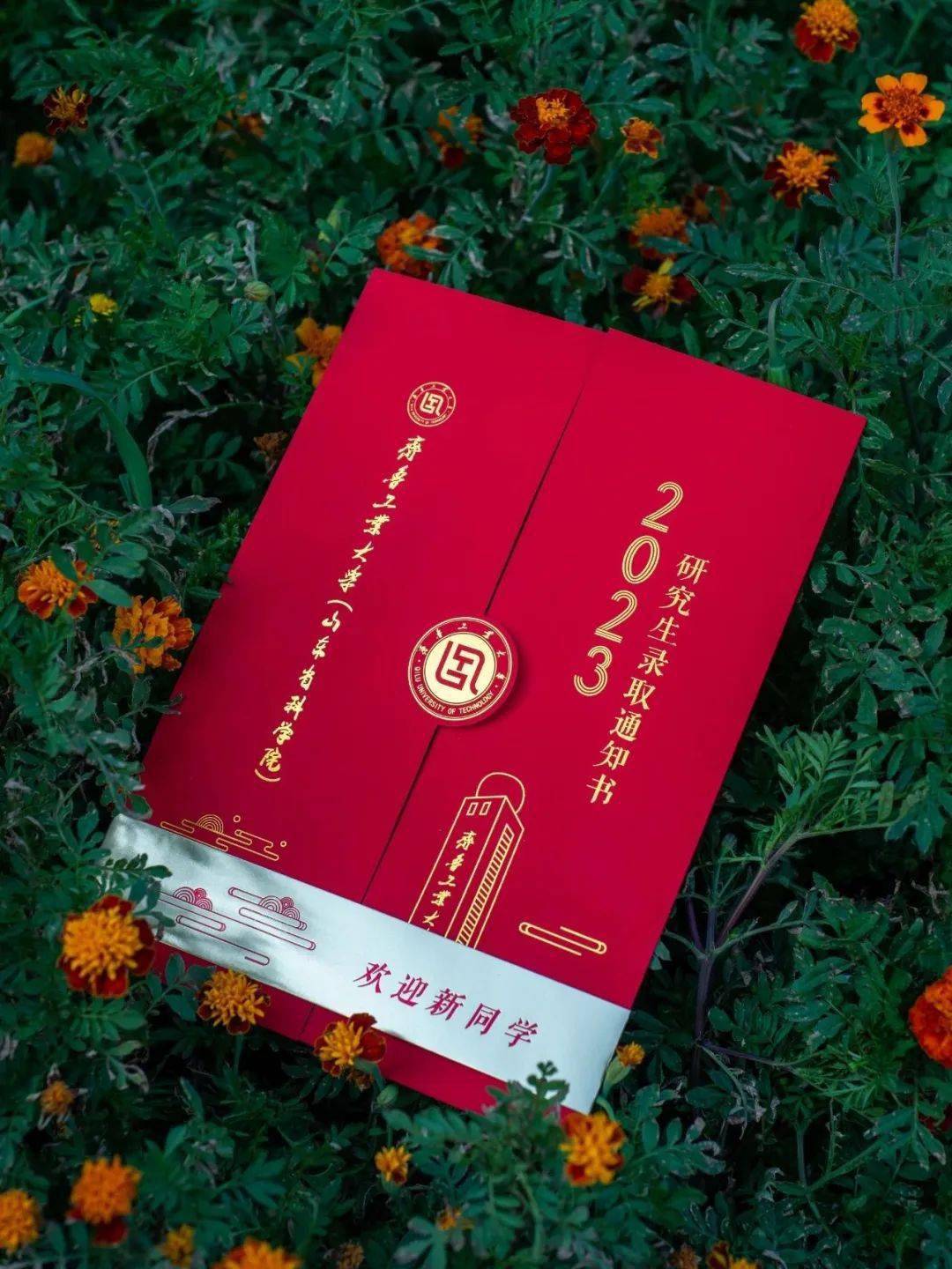 天津師范類大學(xué)錄取分?jǐn)?shù)線_2023年天津師范大學(xué)研究生院錄取分?jǐn)?shù)線_天津師范大學(xué)最低錄取分?jǐn)?shù)線