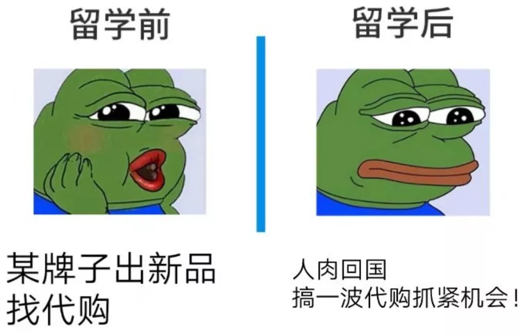 留學初中畢業證有用嗎_留學初中畢業可以嗎_初中畢業留學