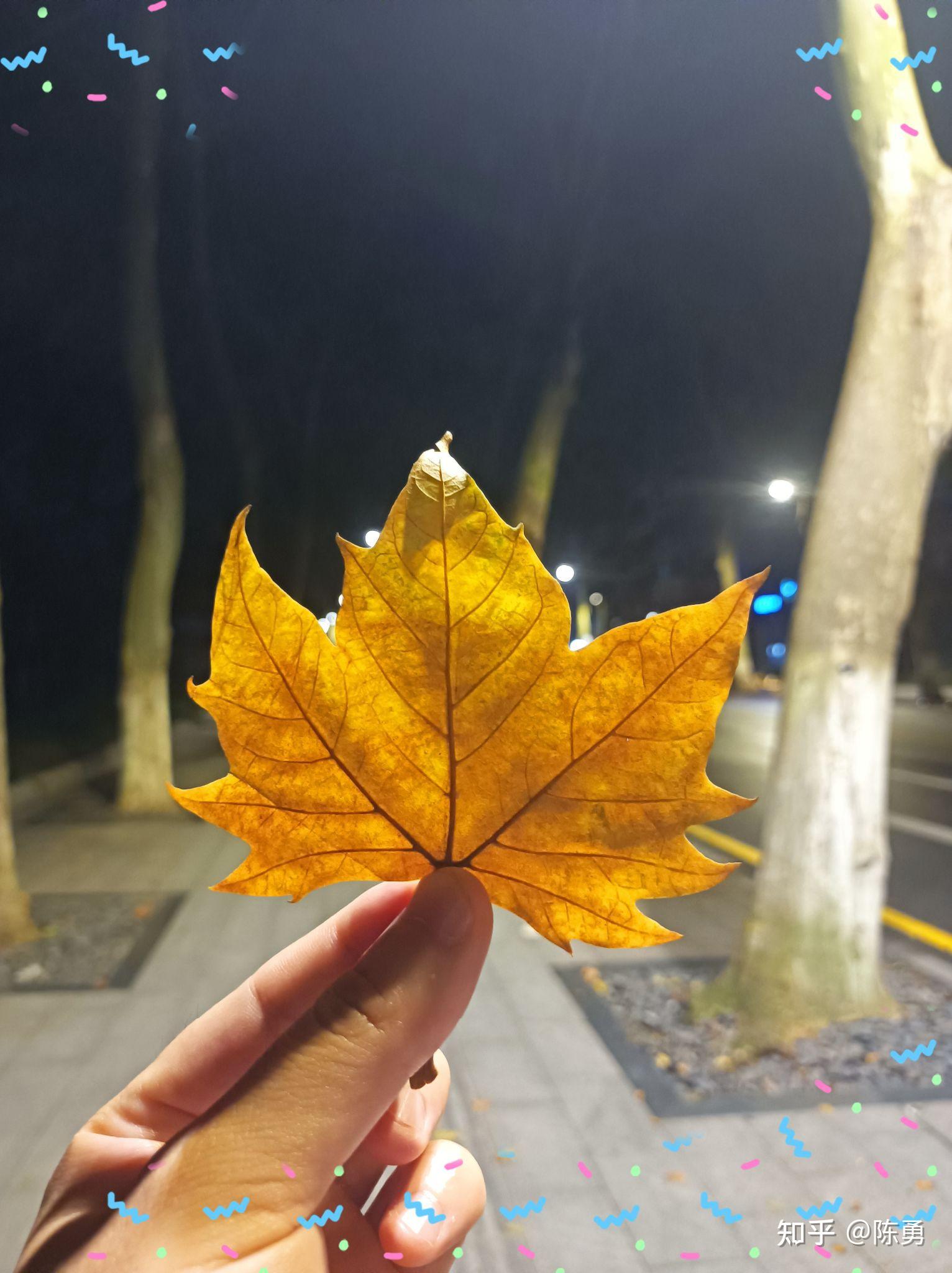 珠寶設(shè)計(jì)專業(yè)_珠寶設(shè)計(jì)_珠寶設(shè)計(jì)專業(yè)學(xué)校排名世界