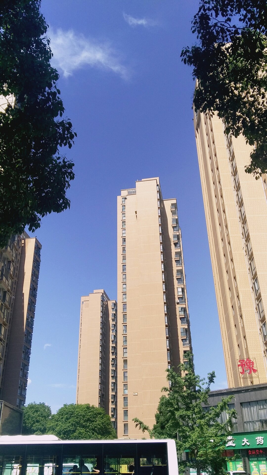金東方學校_金東方學校一年學費多少_東方金業