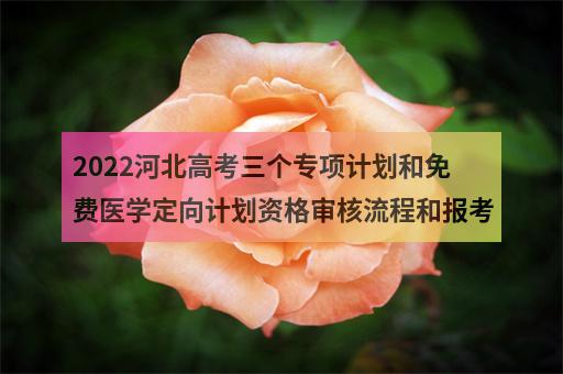2024年陽光高考高校專項計劃報名入口_陽光高考網專項計劃_陽光高考平臺高校專項