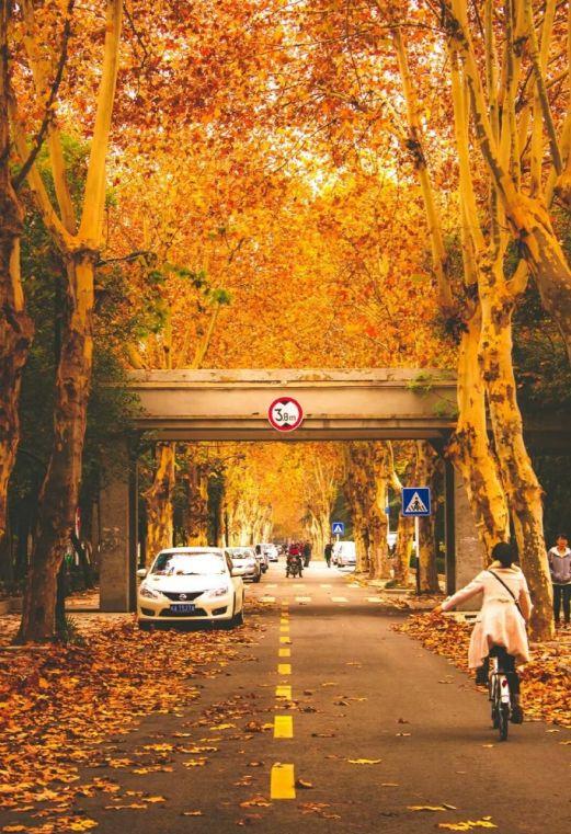 合肥工業大學2020考研人數_2024年合肥工業大學考研_2023合肥工業大學考研