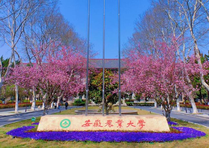 2024年安徽專(zhuān)升本_安徽專(zhuān)升本2020時(shí)間_安徽專(zhuān)升本2023