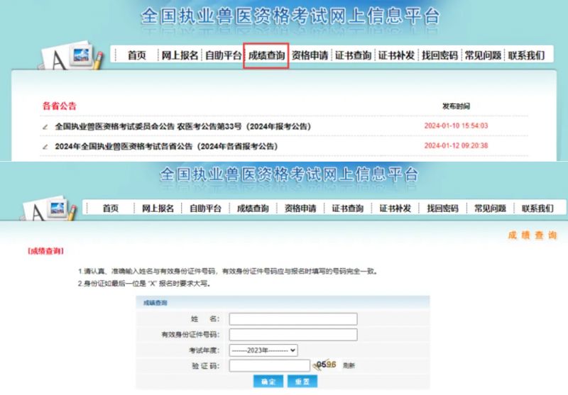 中國衛(wèi)生人才衛(wèi)生網查詢成績_全國衛(wèi)生人才考試成績查詢_2024年中國衛(wèi)生人才網成績查詢入口