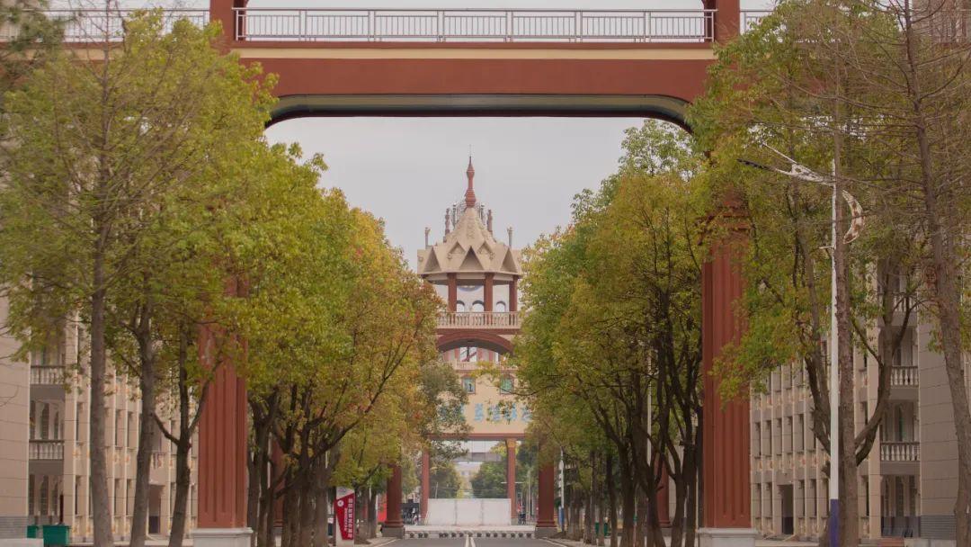 湖北科技專升本考試大綱_湖北科技2021專升本_2024年湖北科技大學專升本