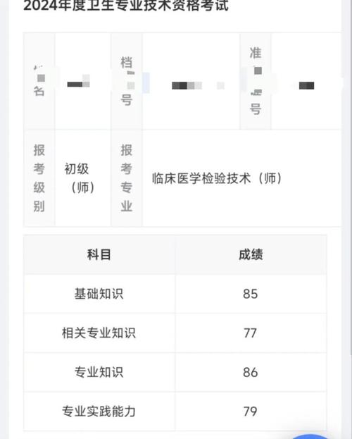 醫師執業證成績查詢_醫師執業考試成績查詢時間_2024年執業醫師資格考試成績查詢