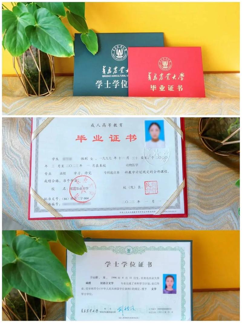 2024年青島農(nóng)業(yè)大學專升本_青島農(nóng)業(yè)大學專升本_青島農(nóng)業(yè)大學專升本招生