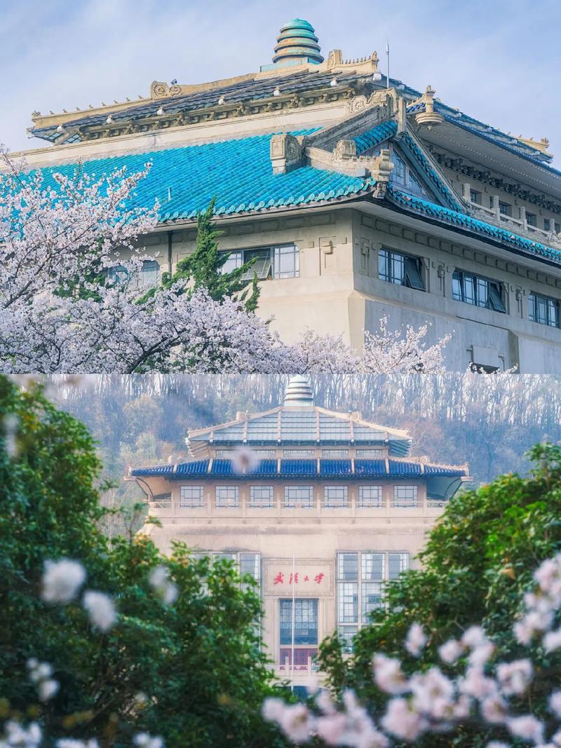 珞珈武漢大學考研網_2021年武大考研_2024年珞珈武大考研網