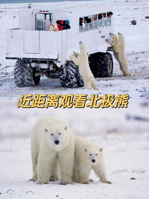 2020年浙江高考續寫_浙江卷續寫作文_
