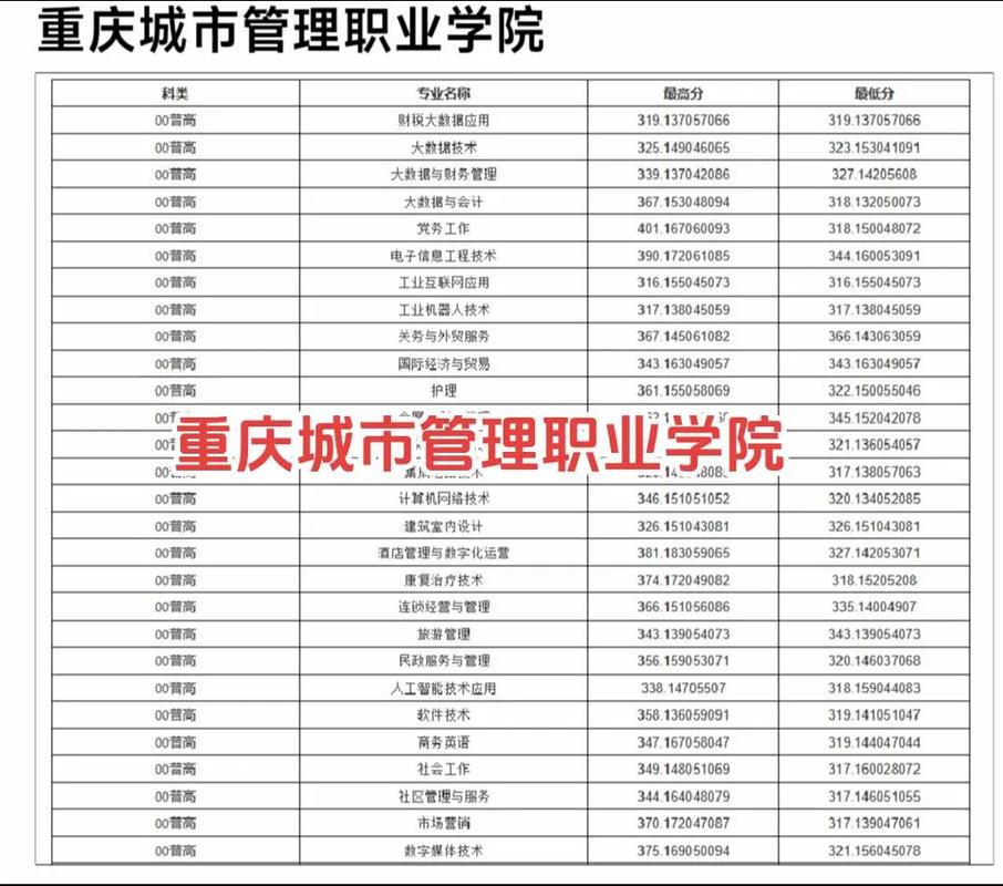2024年重慶工商職業(yè)學(xué)院分?jǐn)?shù)線_重慶工商學(xué)院多少分錄取_重慶工商職業(yè)學(xué)院錄取位次