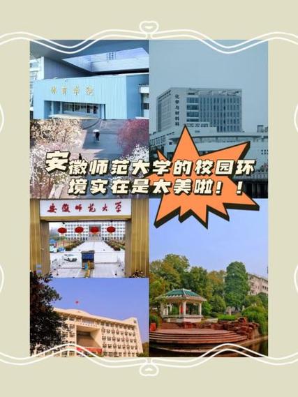 安徽師范大學教務處在哪_安徽師范大學教務系統_安師大教務網