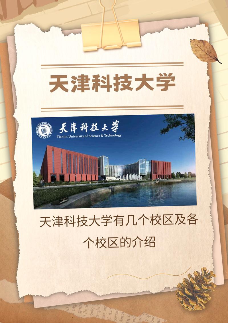 天津外國語大學專業錄取分數線_天津外國語學院錄取分數線_天津外國語大學專業分數
