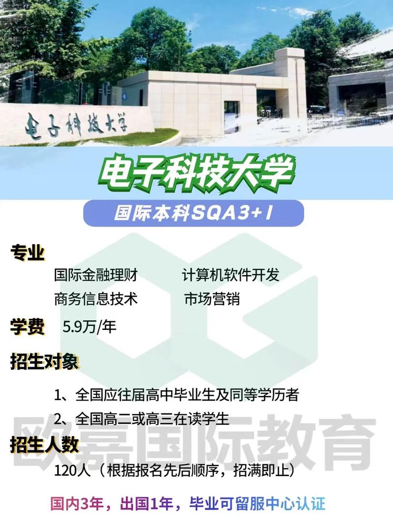 大學如何錄取相同分數的學生_成都電子科技大學錄取分數線_廣西藝術分數錄取大學