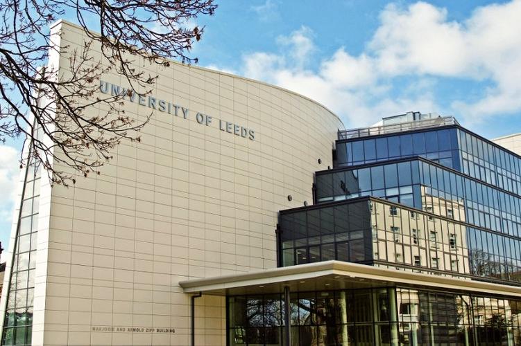 石河子商學院搬走了_石河子大學國際商務_石河子大學商學院