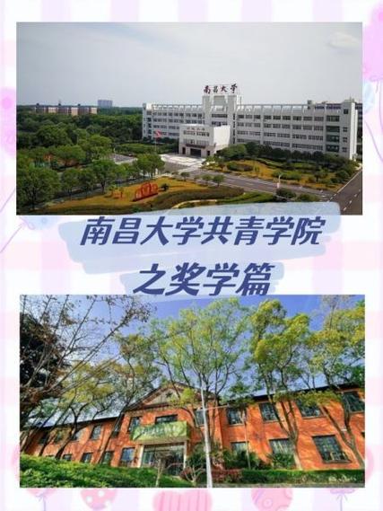 南昌錄取分數線2021_南昌大學2019錄取分數線_南昌的大學錄取分數線2020
