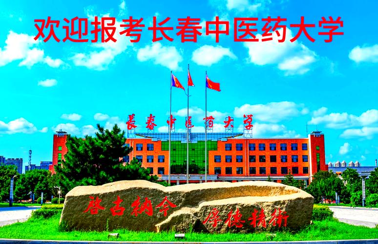 長春中醫(yī)藥大學(xué)航拍_長春中醫(yī)藥大學(xué)怎么樣_長春中醫(yī)藥大學(xué)簡介視頻