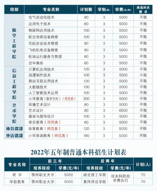 武漢職業技術學院醫學類專業_武漢大學醫學院職業技術學院_武漢職業技術學院臨床醫學