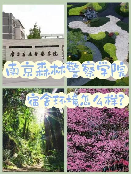 南京森林警察學院錄取分數_南京森林警察學院分數線_南京森林警察警官學院分數線