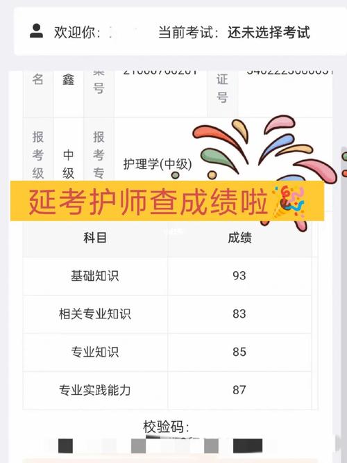 主管護師考試成績查詢_2016主管護師成績查詢時間_主管護師考試2016成績查詢入口