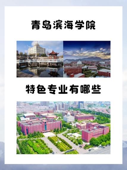 南開大學濱海學院怎么樣_青島濱海學院市場營銷專業_市場營銷專業就業方向
