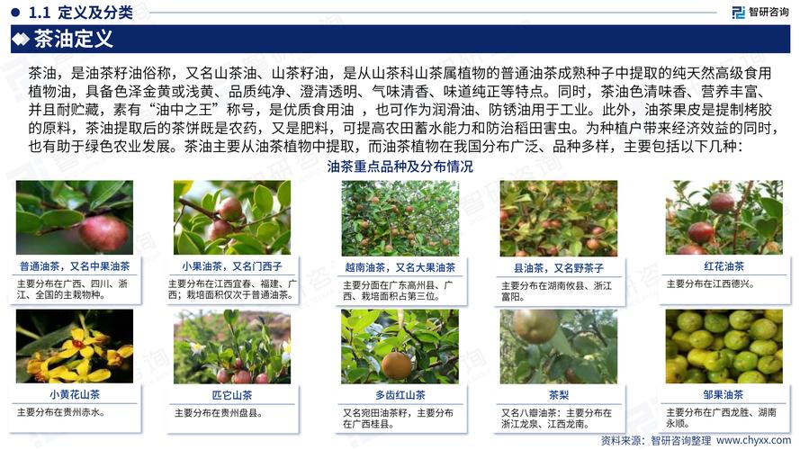 雅安職業技術學院校外網_雅安教育改革對策_雅安學生外流原因分析