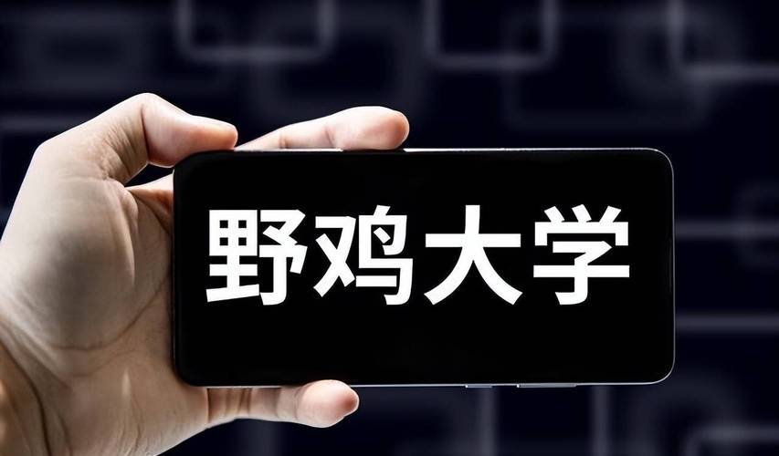 武漢東湖學院野雞大學澄清_北京郵電大學野雞大學澄清_武漢東湖學院分數線